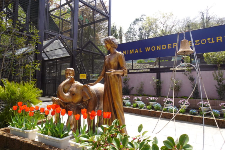 銅像制作／市原動物園・象の国／坂本小百合園長、哲夢さん、子象の銅像建立【千葉県市原市】