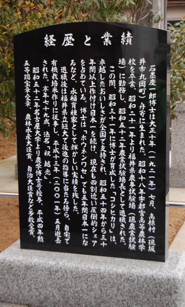 銅像制作／コシヒカリの生みの親、石墨慶一郎博士銅像建立へ【福井県丸岡町】