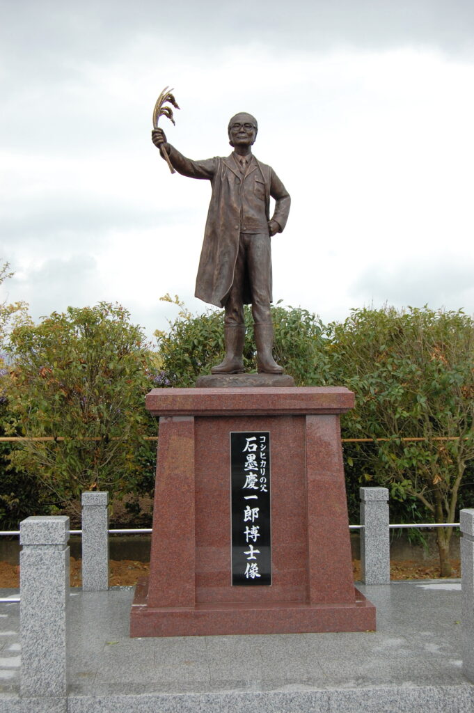 銅像制作／コシヒカリの生みの親、石墨慶一郎博士銅像建立へ【福井県丸岡町】